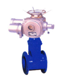 彈性座封(feng)閘閥3